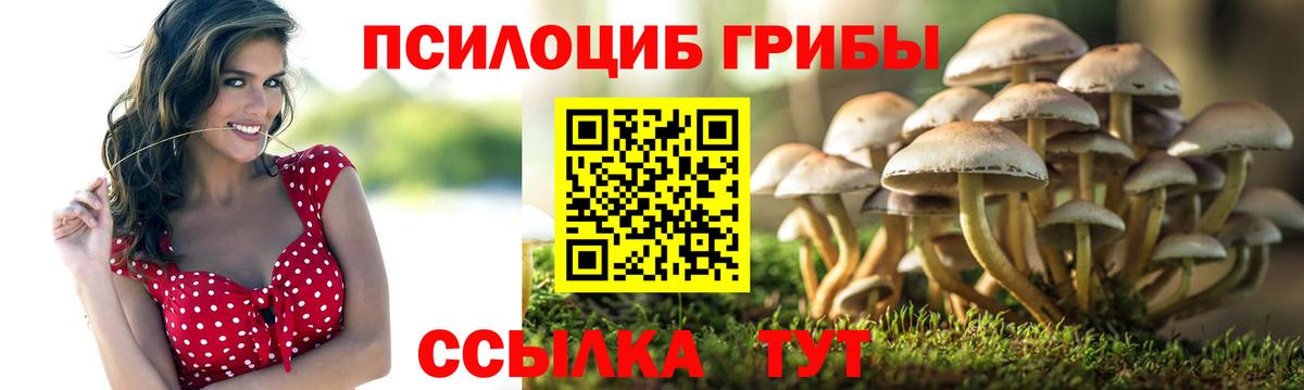 Фрязино  Псилоцибиновые грибы Magic Shrooms  Вход с VPN 